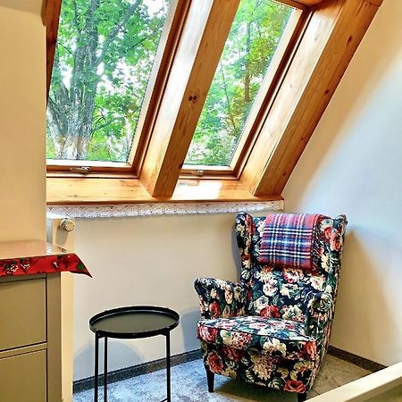 APARTAMENT GIMNAZJALNA 8a  Zakopane Zewnętrze zdjęcie
